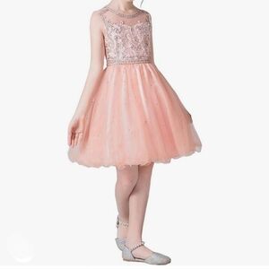 Engerla Coral Dress Size 4